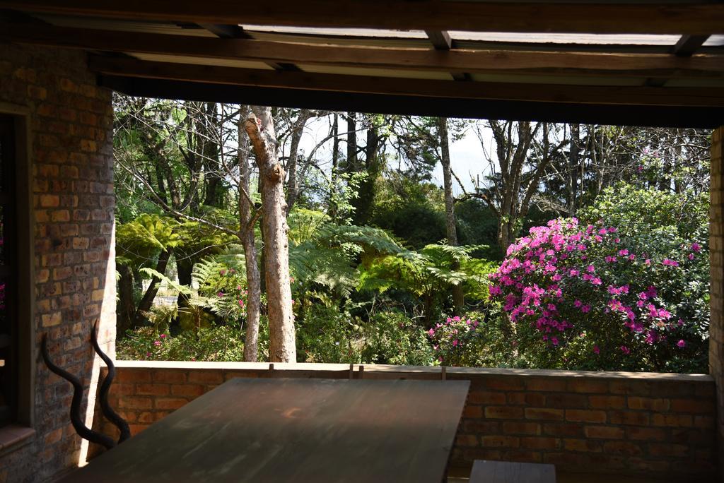 Molly'S Cottage Graskop Exterior foto