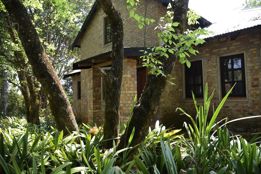 Molly'S Cottage Graskop Exterior foto